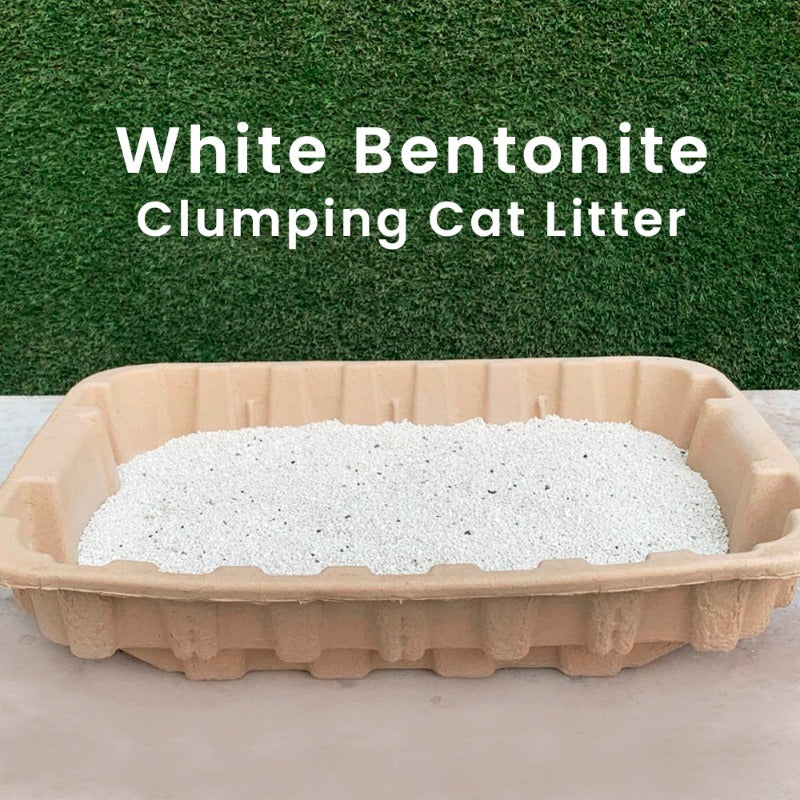 White Bentonite Clumping Cat Litter