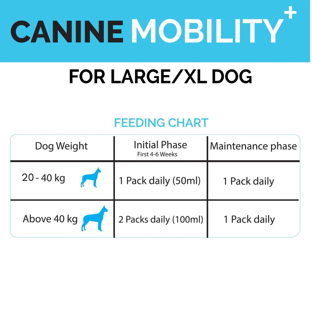 Goofy Tails Canine Mobility+ Joints Support & Mobility Booster Supplement for Dogs
