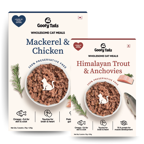 Goofy Tails Trial Packs Cat Meals – Himalayan Trout and Chicken & Mackerel