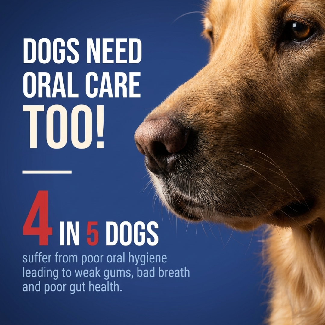 Goofy Tails Active Dental Sticks | Dog Treats Non-Vegetarian | Dental Sticks for Dogs (Blueberry & Apple)