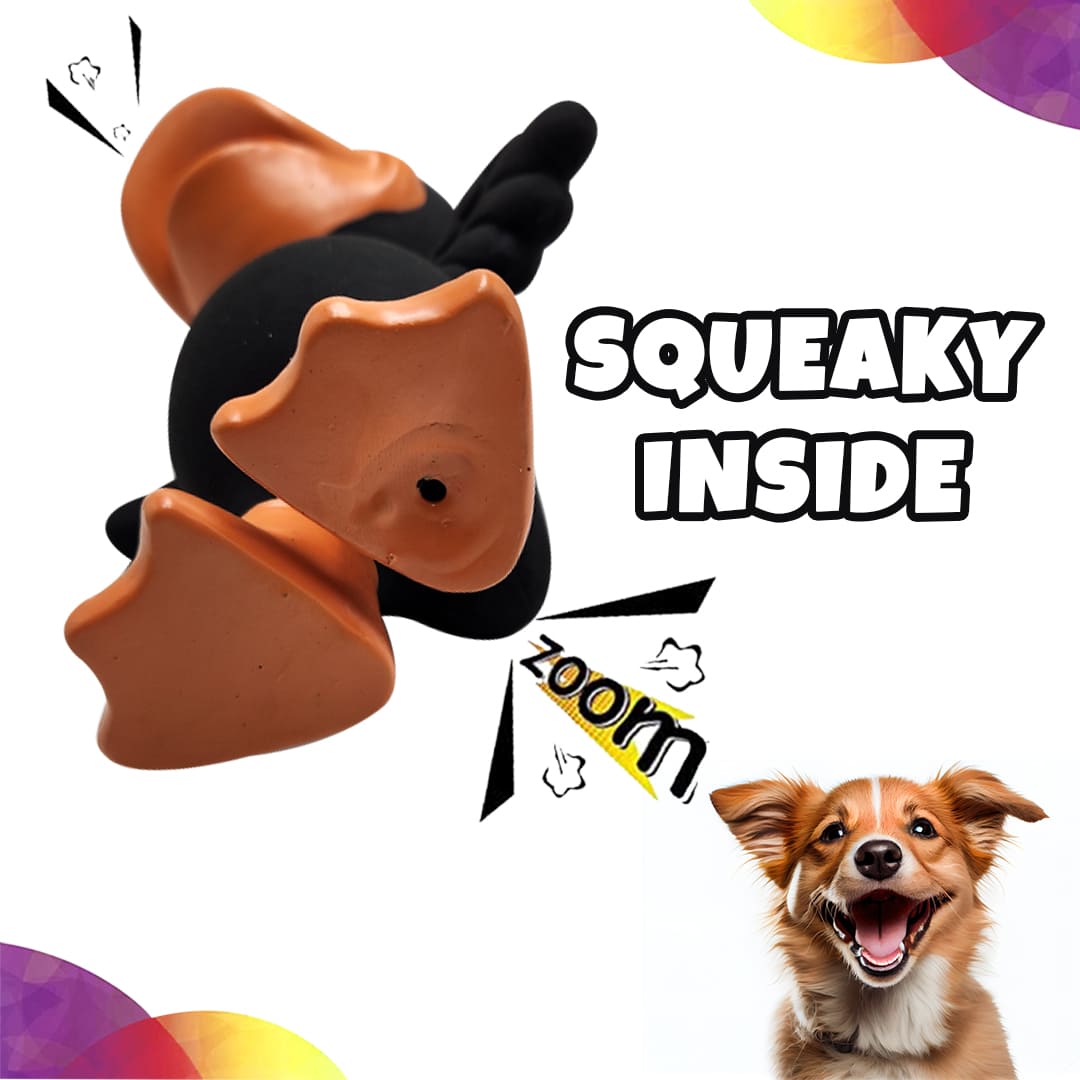 Squeaky Inside the duck toy for dogs