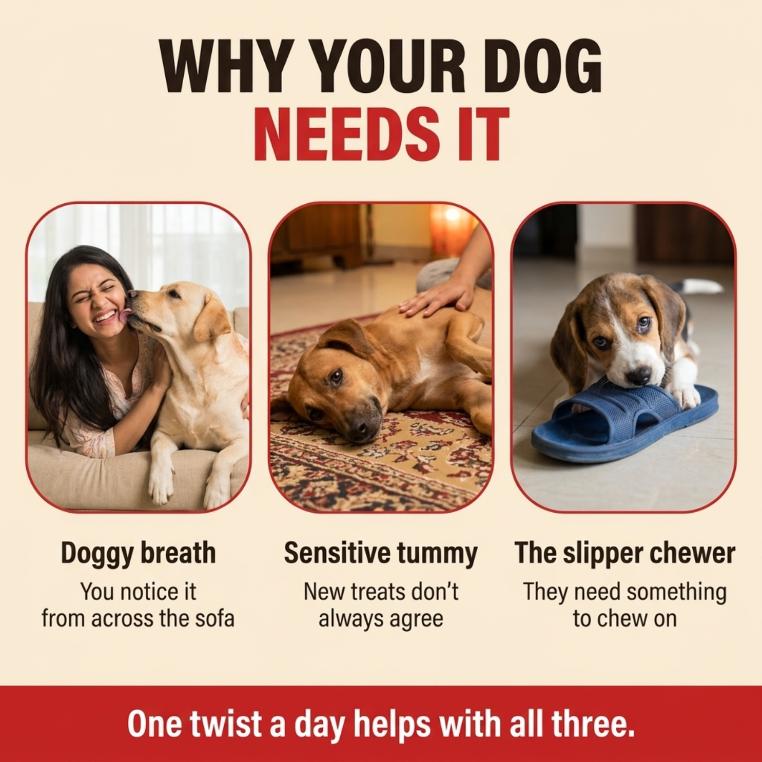 Goofy Tails Active Chicken Twists - Dental Treats for Dogs