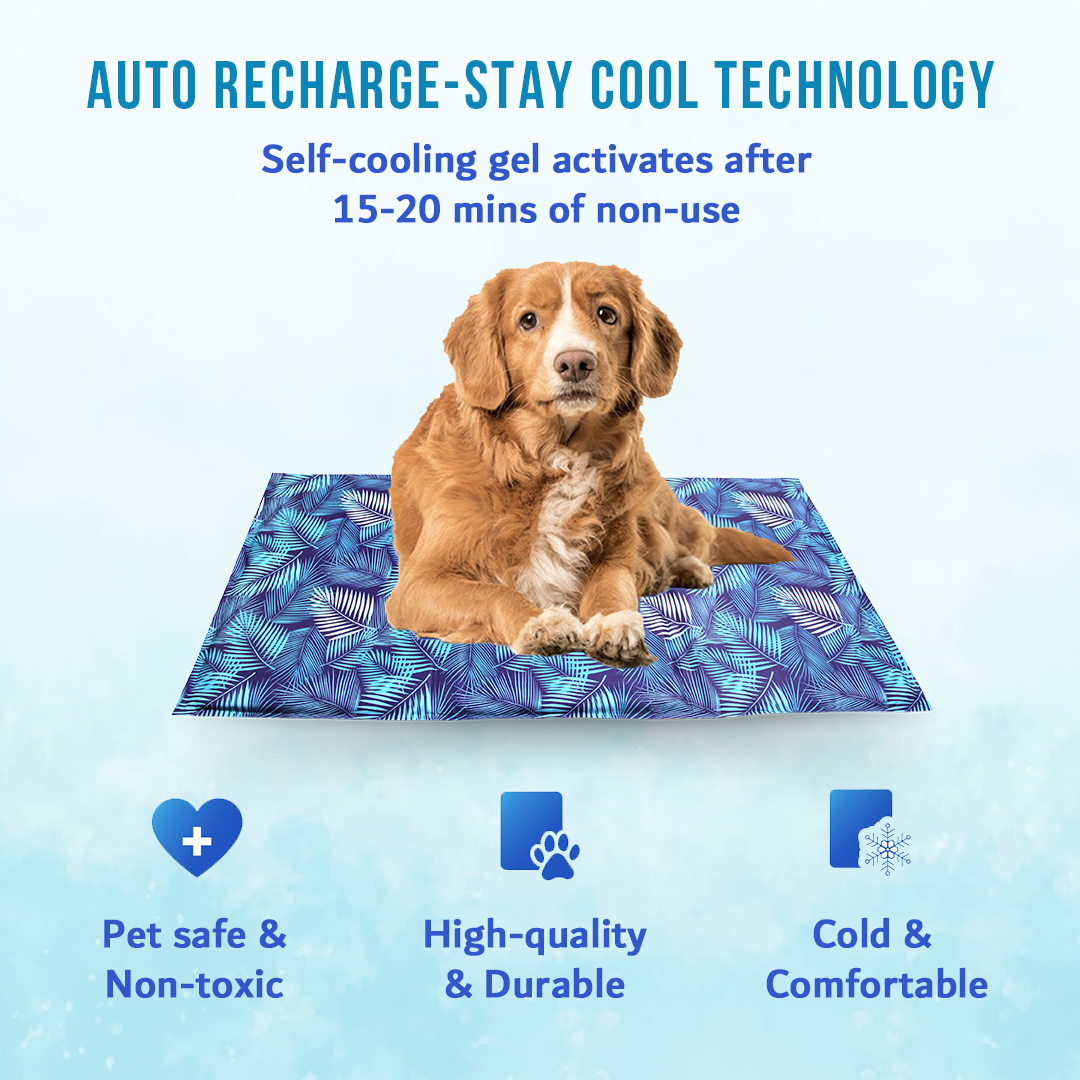 Pet cooling mat