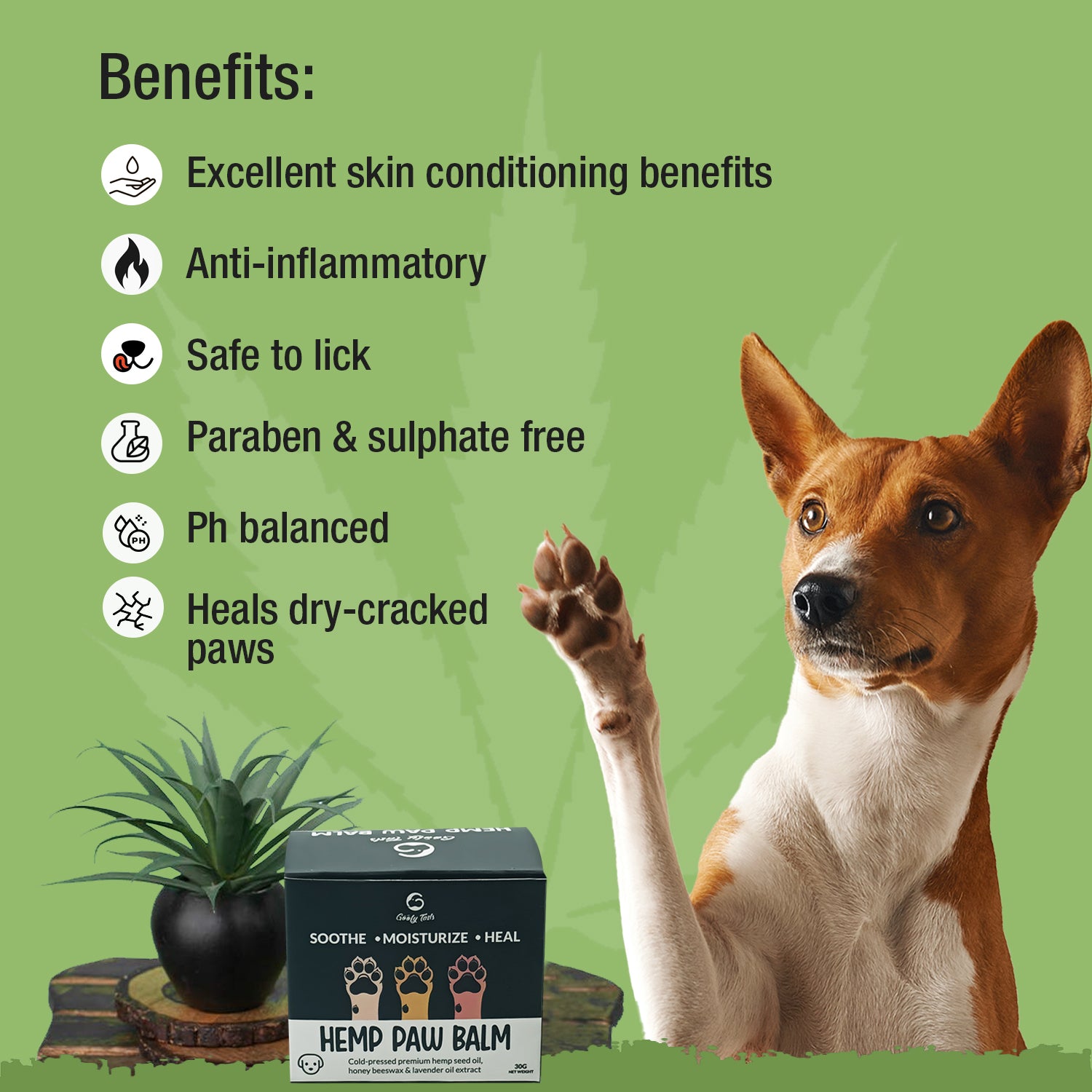Benefits of dogs hemp paw balm or cream