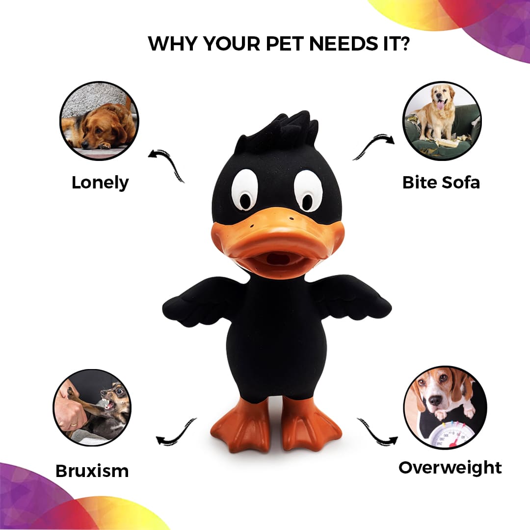 Why Your Dog Need this black color rubber duck toy