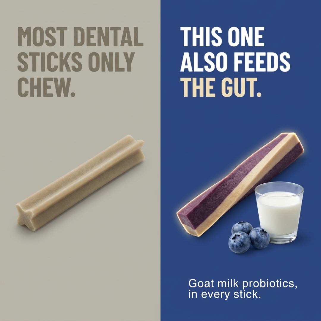 Goofy Tails Active Dental Sticks | Dog Treats Non-Vegetarian | Dental Sticks for Dogs (Blueberry & Apple)