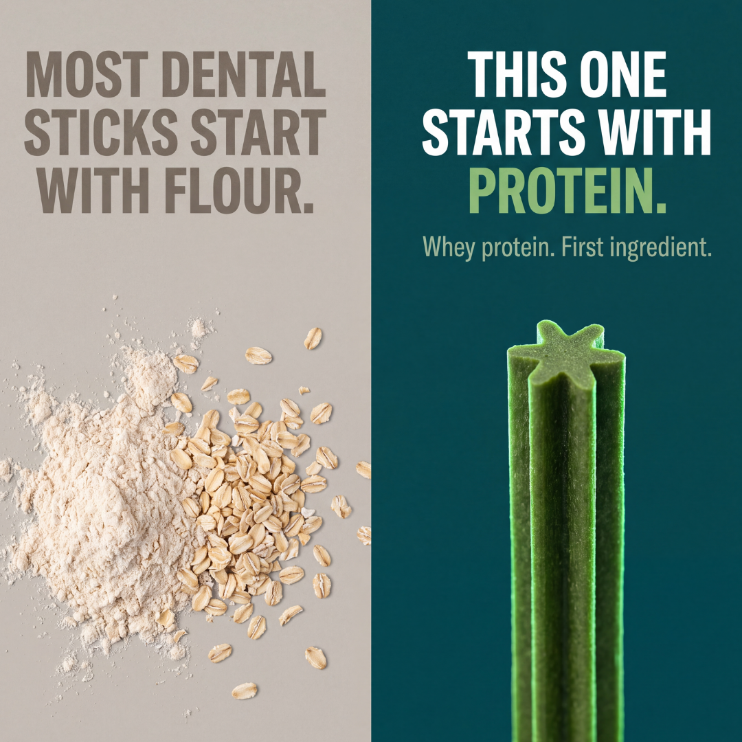 Oral Care Active Dental Vegetarian Dog Treat ( Seaweed, 24 Sticks)