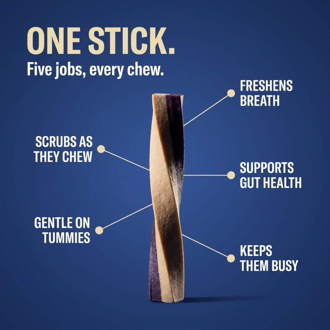 Goofy Tails Active Dental Sticks | Dog Treats Non-Vegetarian | Dental Sticks for Dogs (Blueberry & Apple)