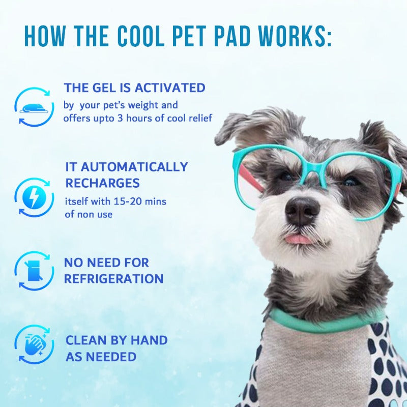 Goofy Tails Pet Cooling Mat for Dogs and Cats