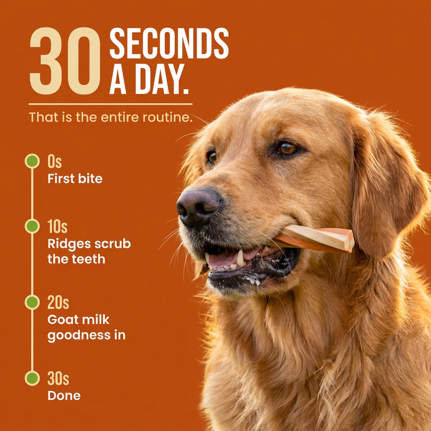 Goofy Tails Active Dental Sticks | Dog Treats Non-Vegetarian | Dental Sticks for Dogs (Carrot & Yam)