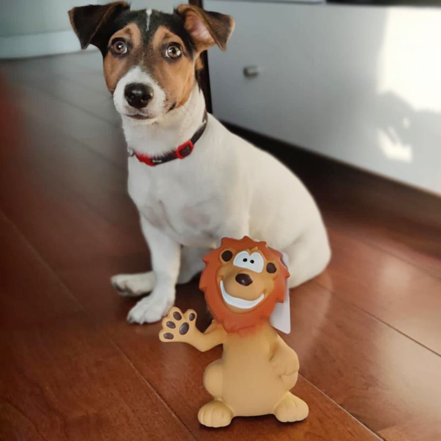 Goofy Tails Latex Squeaky Lion Toy For Dogs -  Medium-Large Breeds