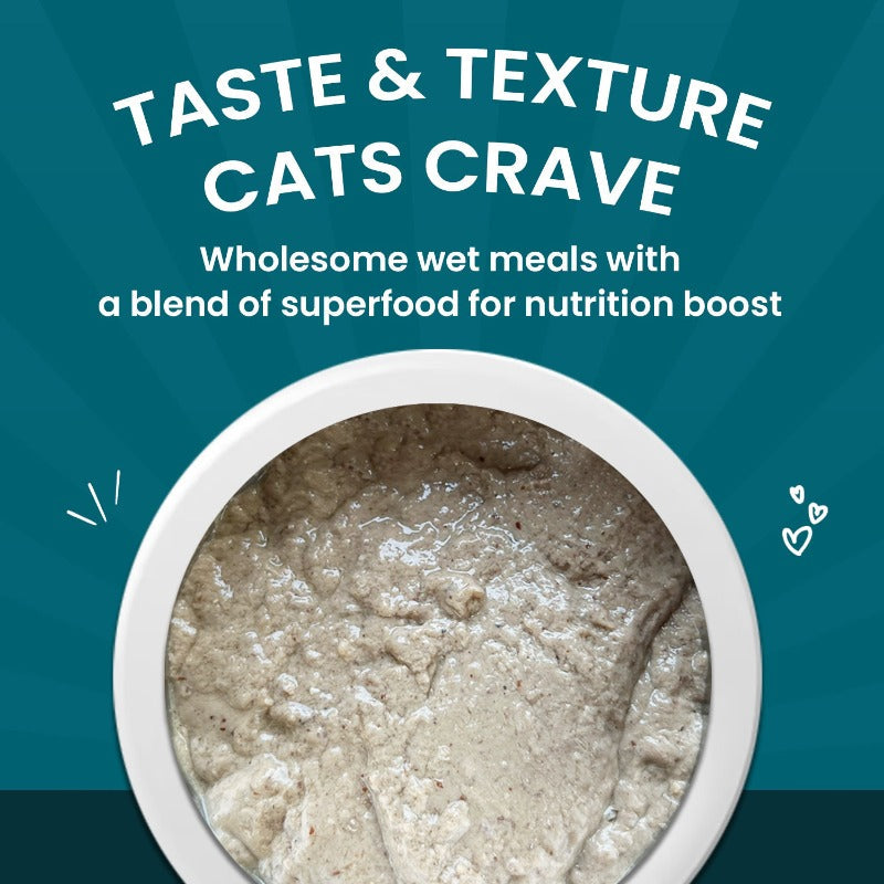 Healthy Cat Food