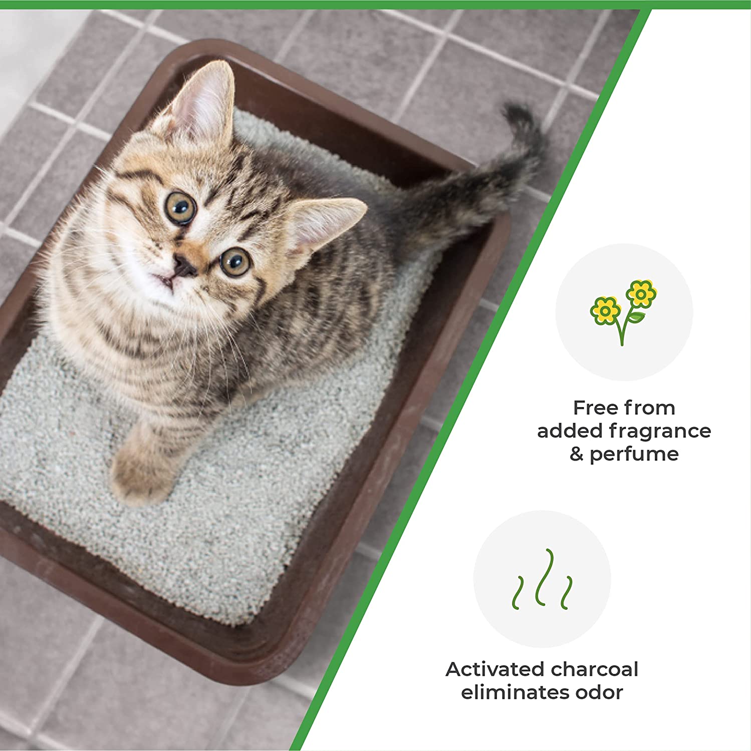 White Bentonite Unscented Cat Litter with Activated Litter Fresh