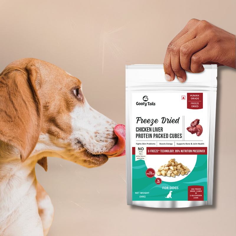 Treats for Dogs & Puppies