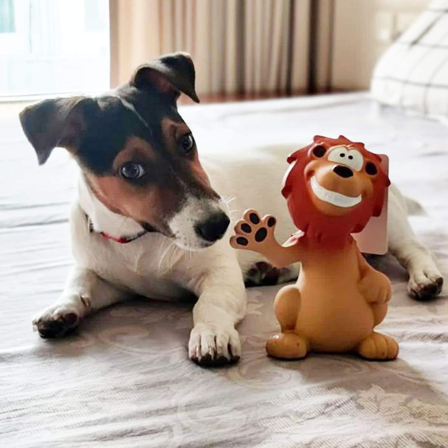Goofy Tails Latex Squeaky Lion Toy For Dogs -  Medium-Large Breeds