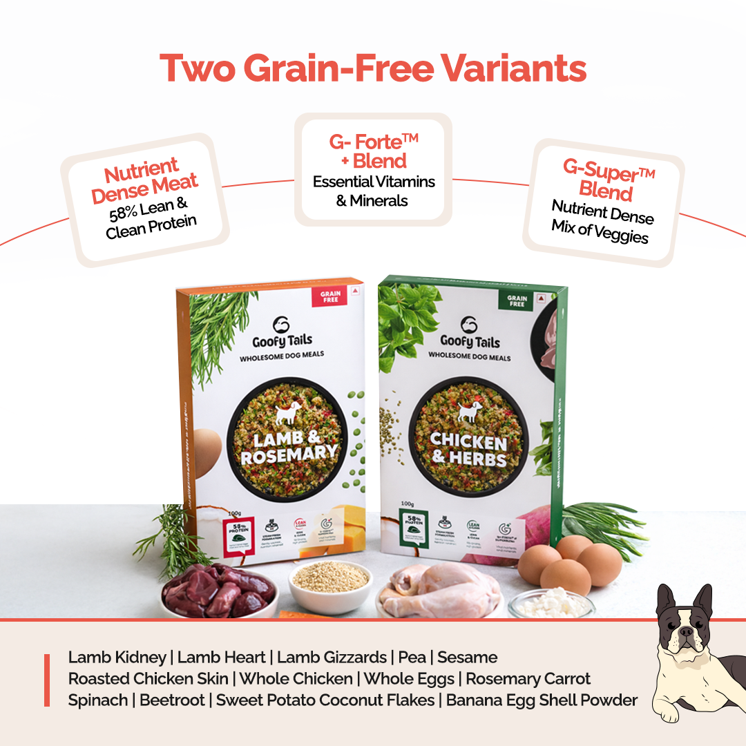 Wholesome Meals Trial Pack | 4 Flavours + 25ml Bone Broth