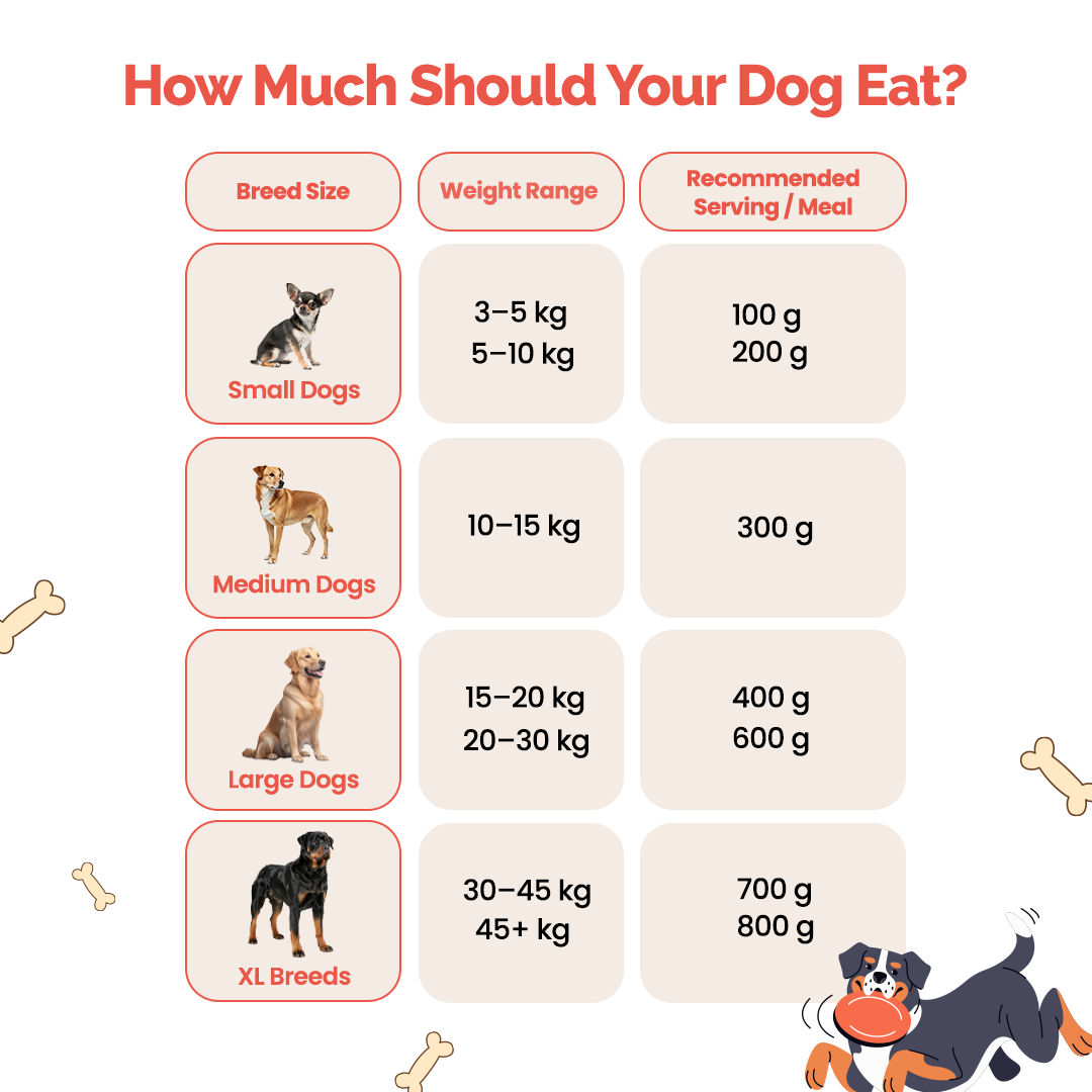 Wholesome Meals Trial Pack | 4 Flavours + 25ml Bone Broth