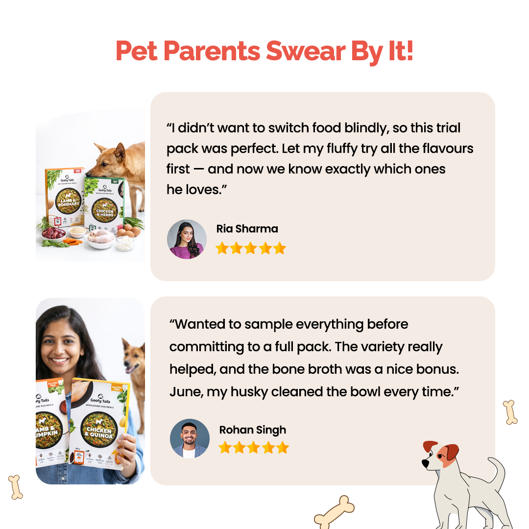 Wholesome Meals Trial Pack | 4 Flavours + 25ml Bone Broth