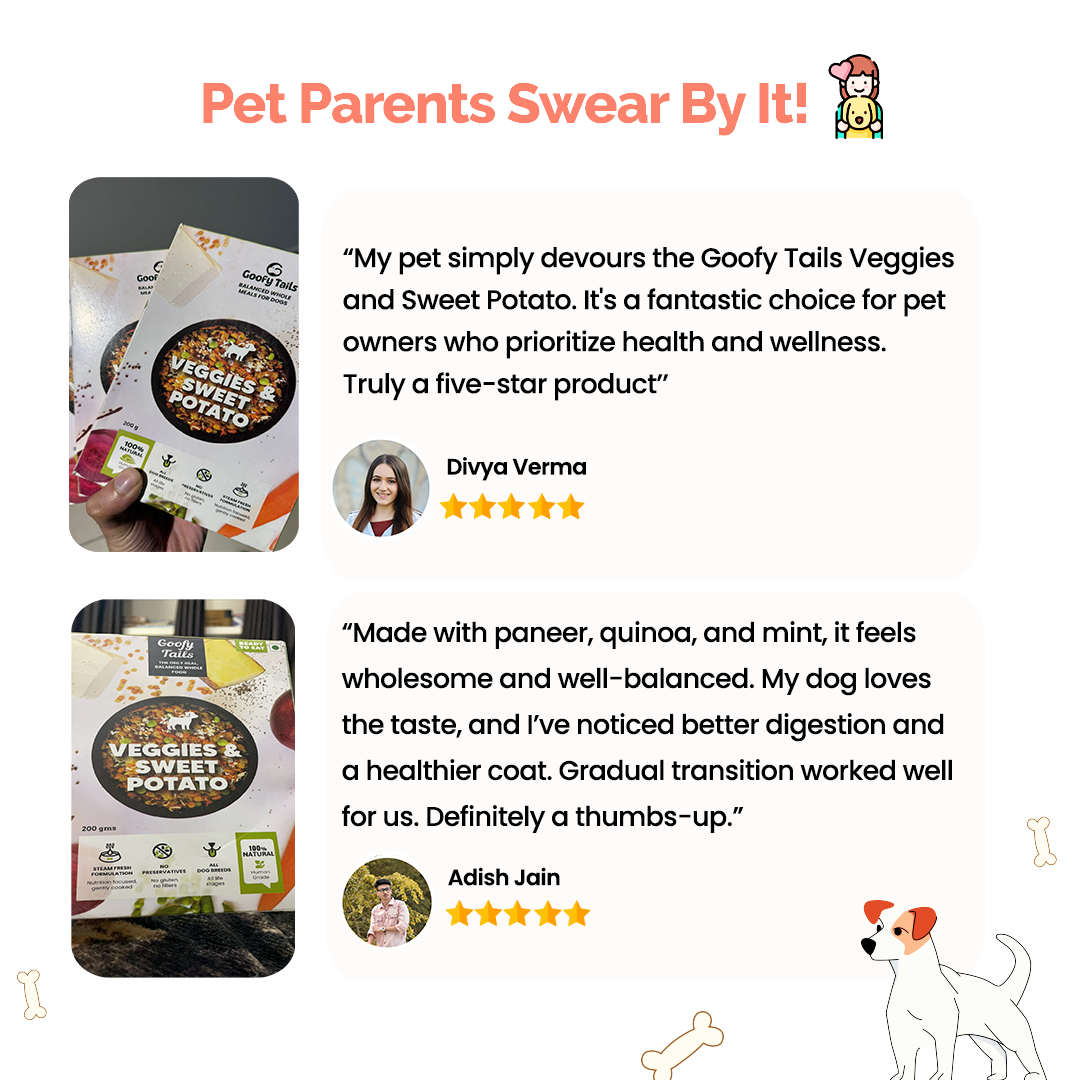 Veggies and Sweet Potato Fresh Food for Dogs and Puppies