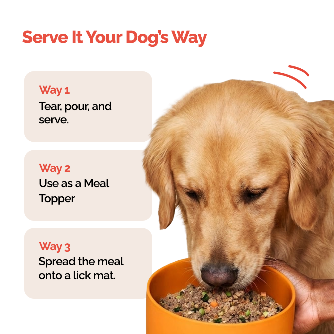 Wholesome Meals Trial Pack | 4 Flavours + 25ml Bone Broth