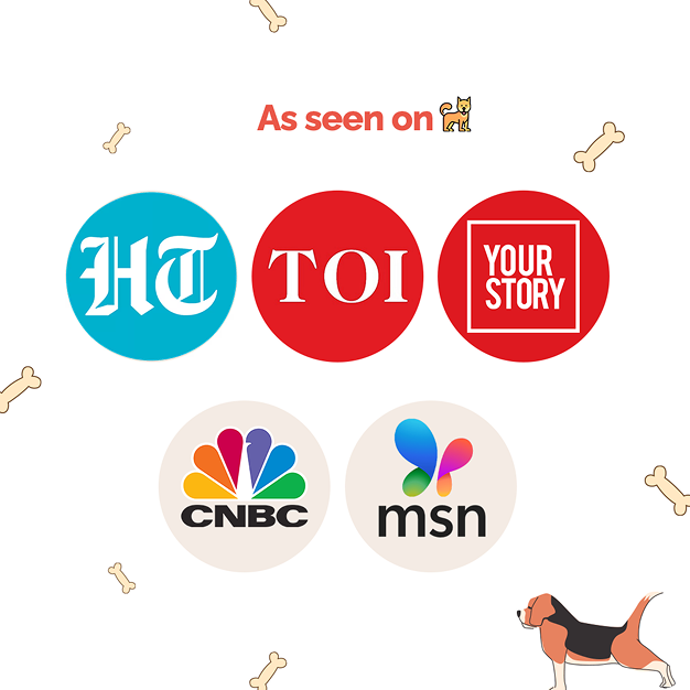 Goofy Tails Chicken and Quinoa Wholesome Meals for Dogs and Puppies