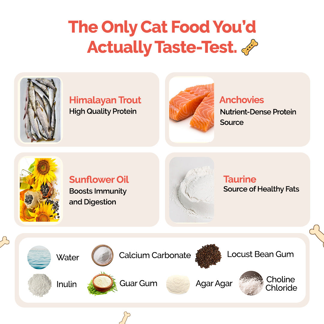 Goofy Tails Himalayan Trout Wet Cat and Kitten Food