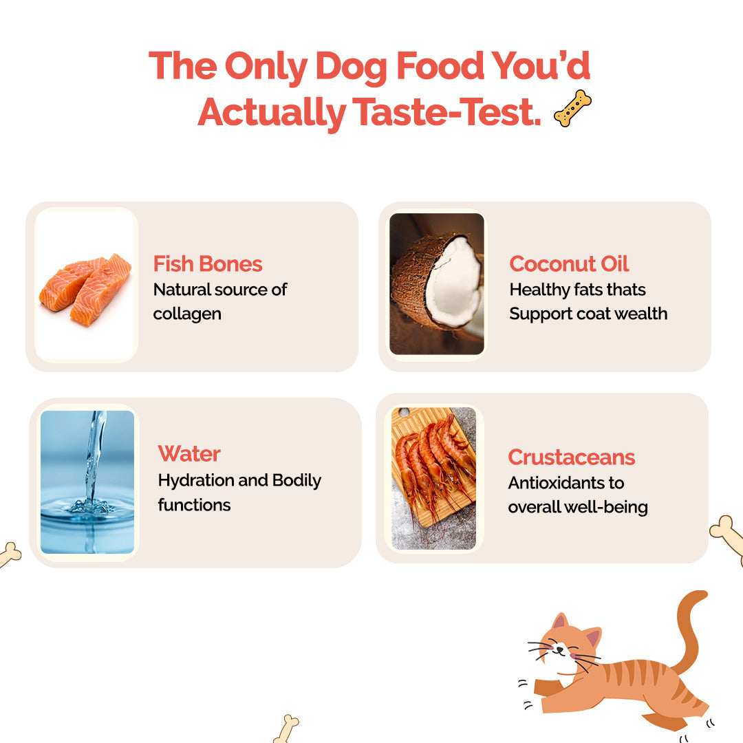 Goofy Fresh Sea Food Bone Broth for Cats and Kittens