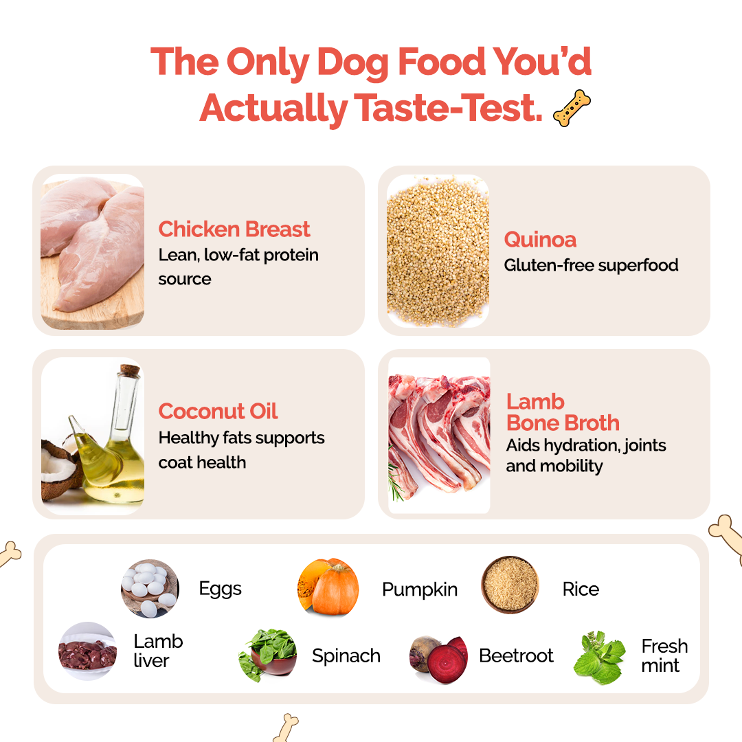 Goofy Tails Lamb and Pumpkin Food for Dogs and Puppies