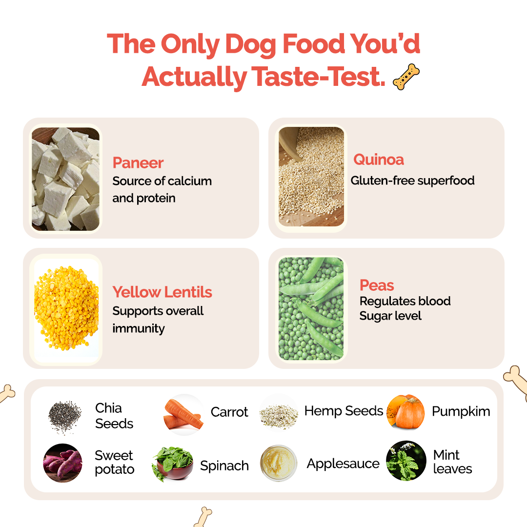 Veggies and Sweet Potato Fresh Food for Dogs and Puppies