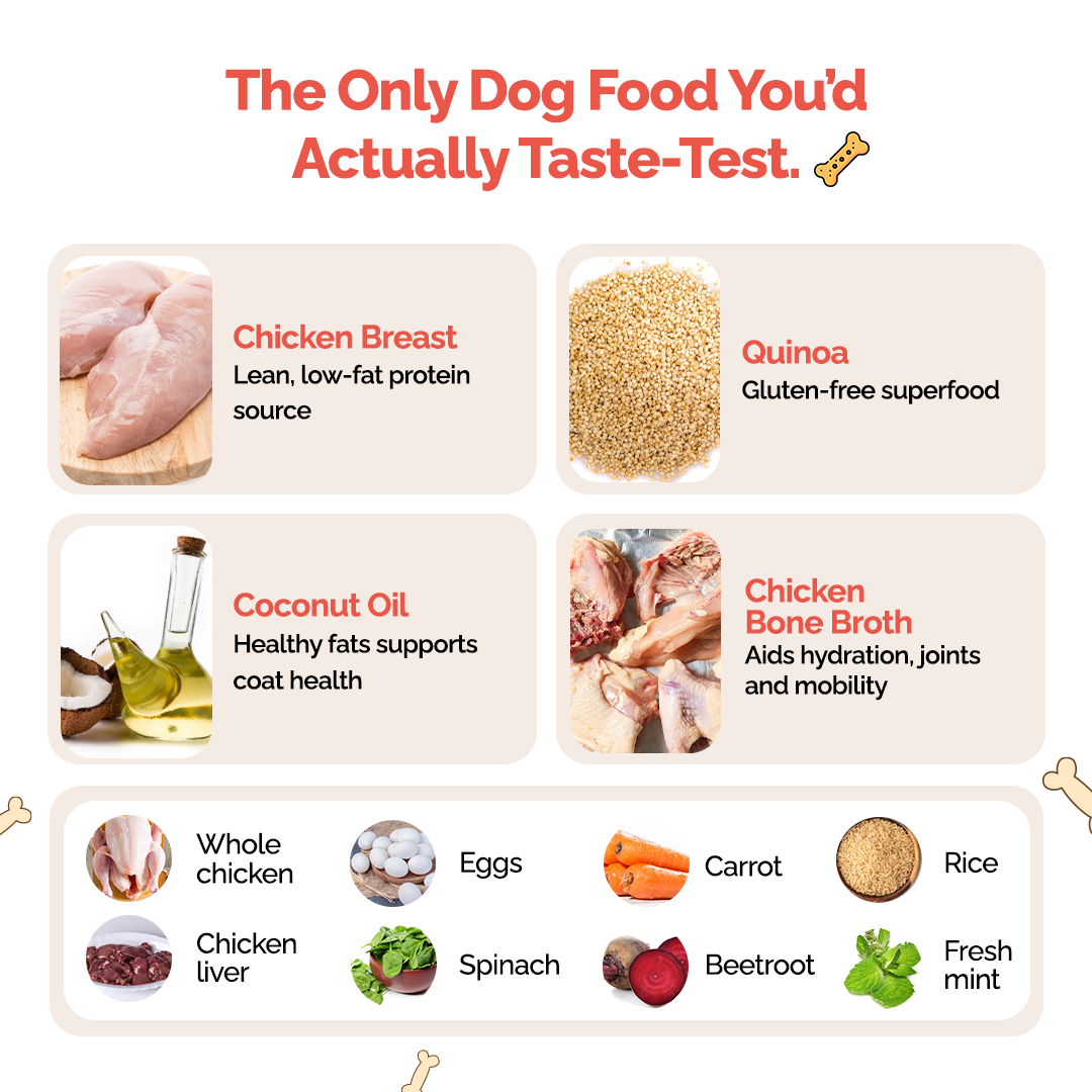 Goofy Tails Chicken and Quinoa Wholesome Meals for Dogs and Puppies NOT FOR SELL