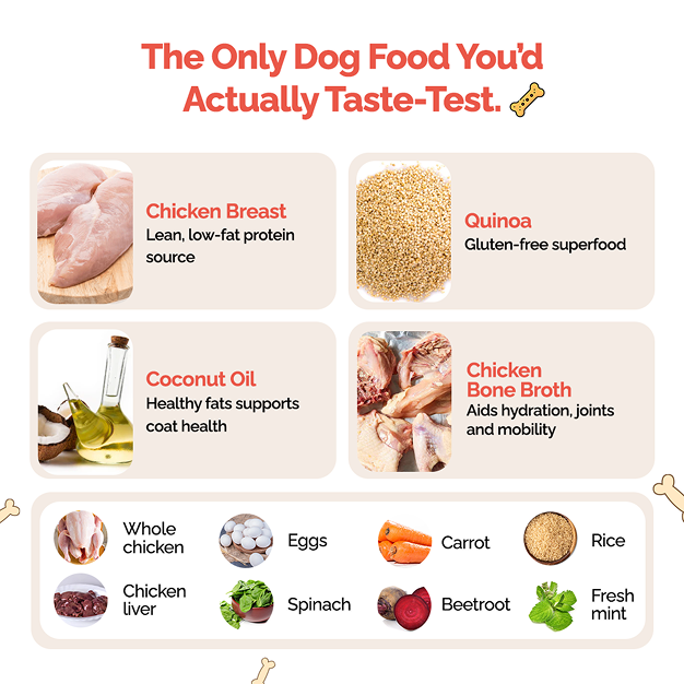 Goofy Tails Chicken and Quinoa Wholesome Meals for Dogs and Puppies