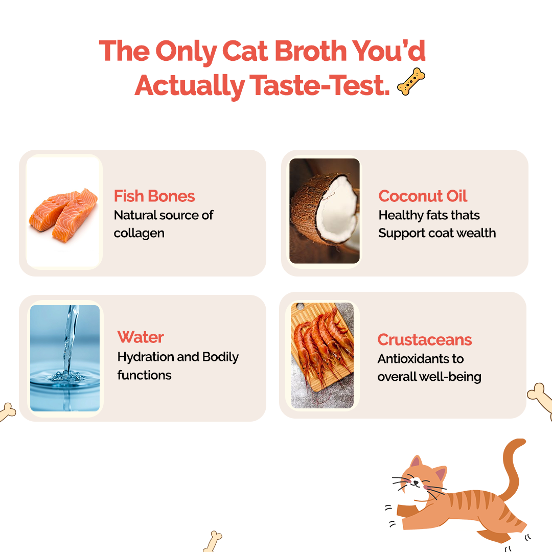 Goofy Fresh Sea Food Bone Broth for Cats and Kittens