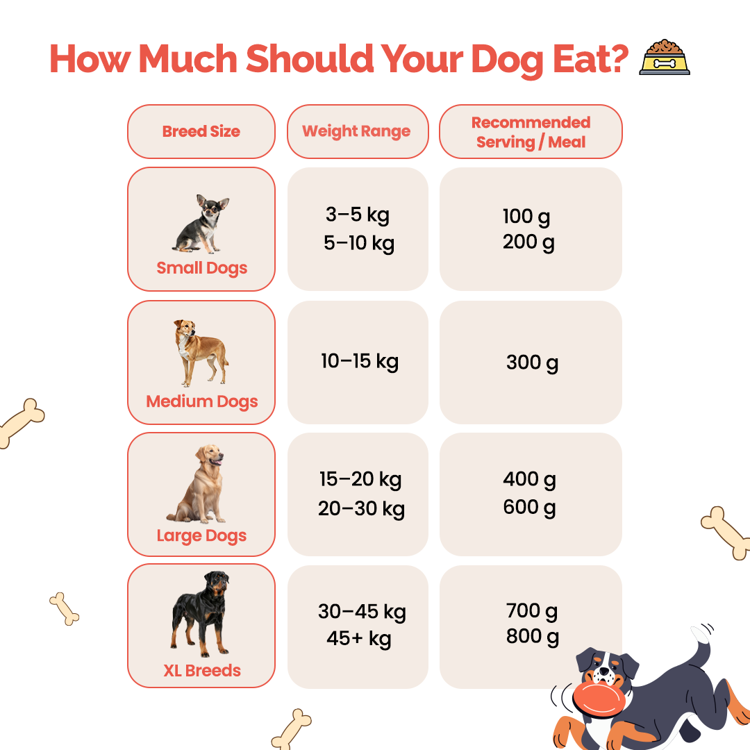 Goofy Tails Chicken and Quinoa Wholesome Meals for Dogs and Puppies NOT FOR SELL