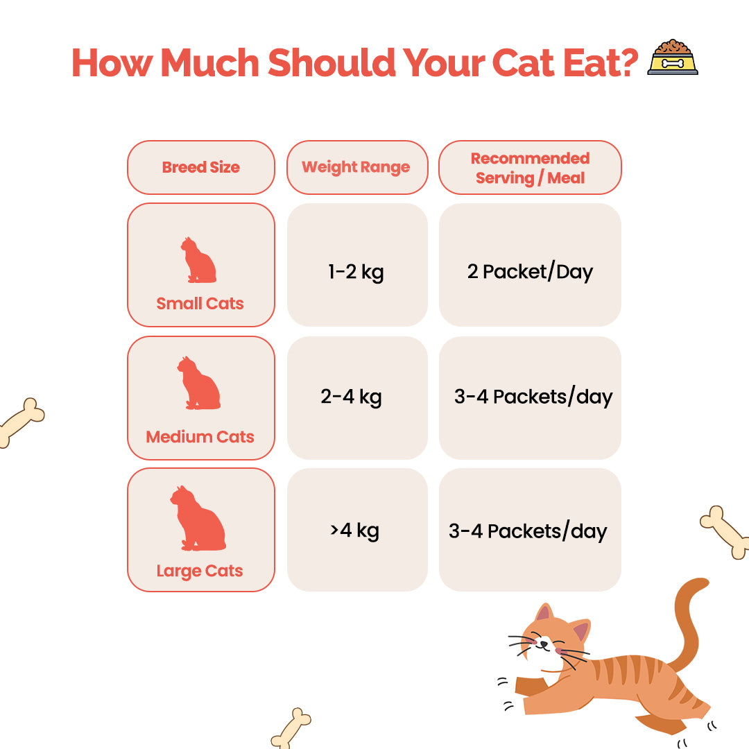 Goofy Tails Trial Packs Cat Meals – Himalayan Trout and Chicken & Mackerel