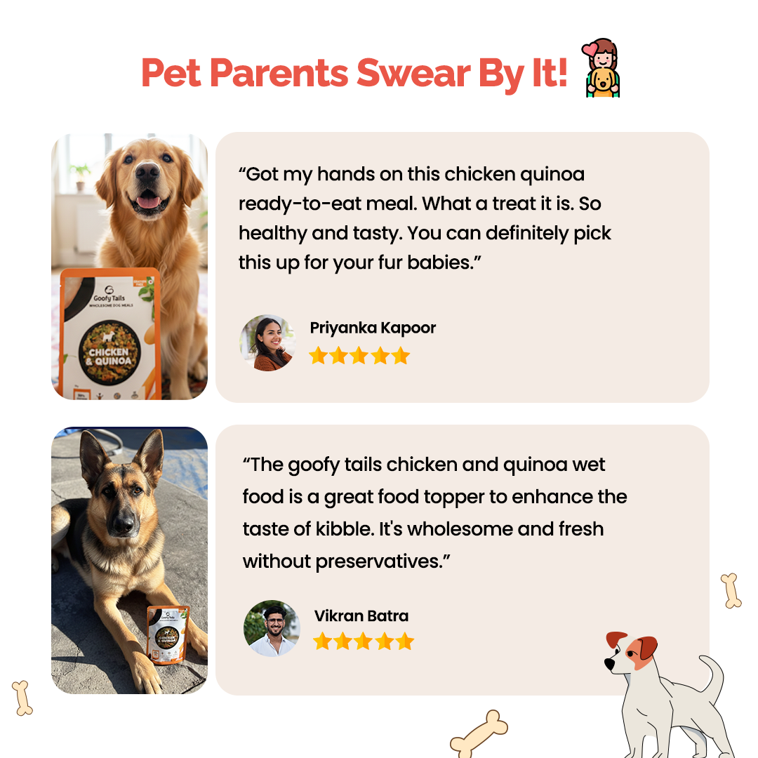 Goofy Tails Chicken and Quinoa Wholesome Meals for Dogs and Puppies NOT FOR SELL