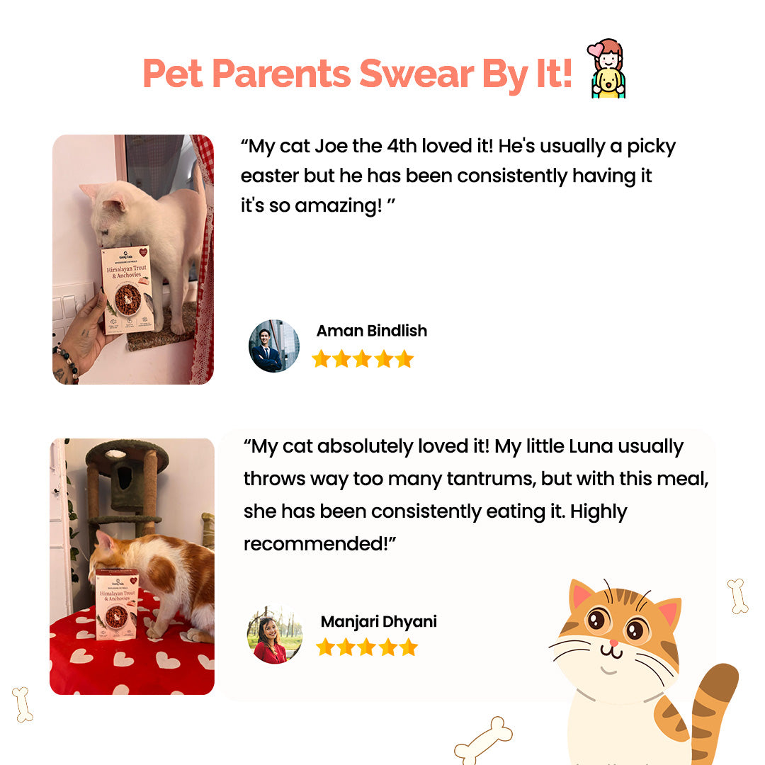 Goofy Tails Trial Packs Cat Meals – Himalayan Trout and Chicken & Mackerel