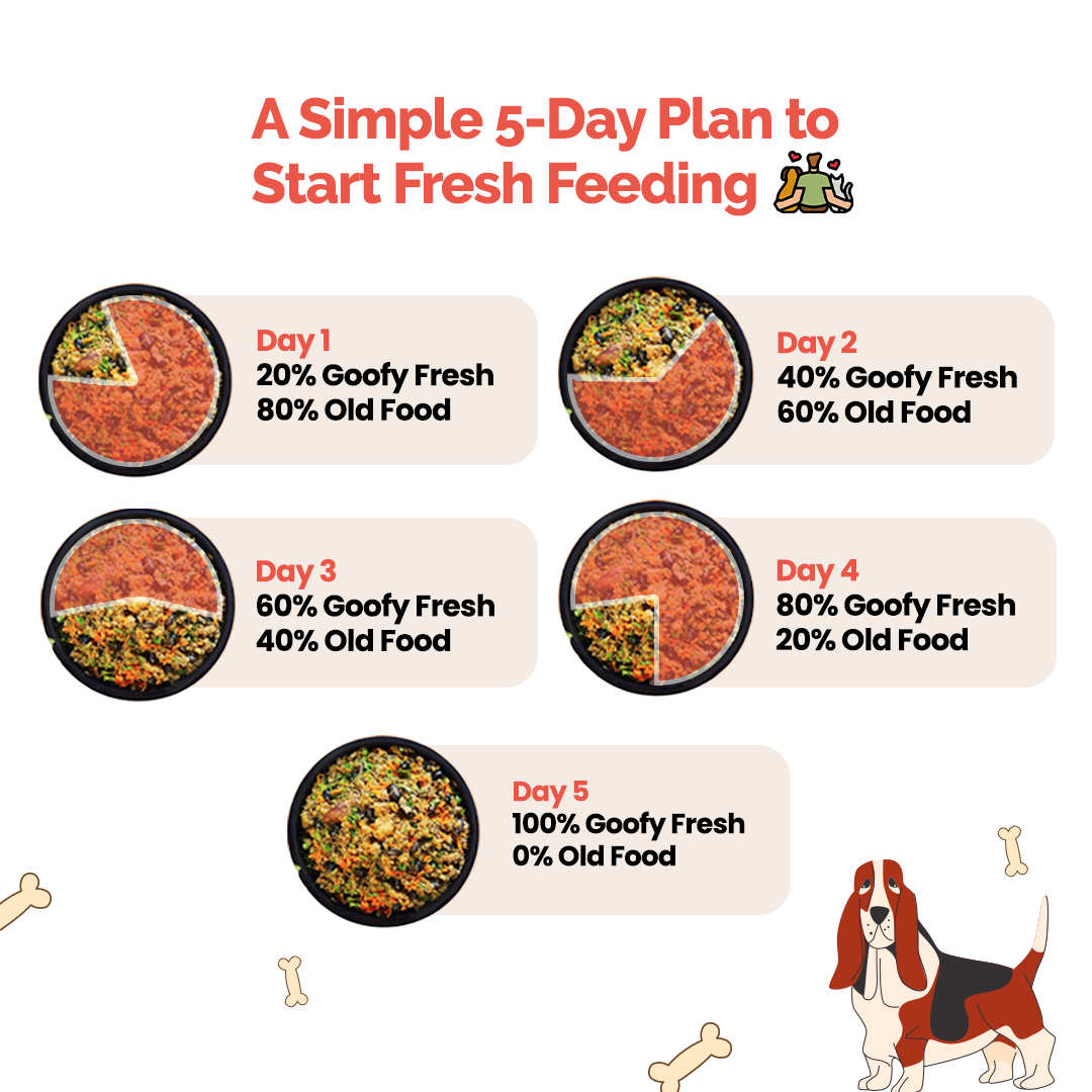 Goofy Tails Lamb and Pumpkin Food for Dogs and Puppies