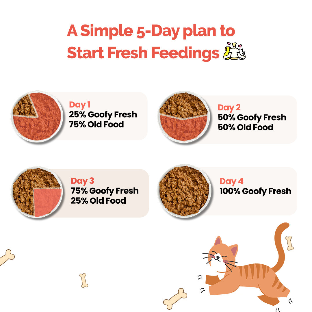 Goofy Tails Trial Packs Cat Meals – Himalayan Trout and Chicken & Mackerel