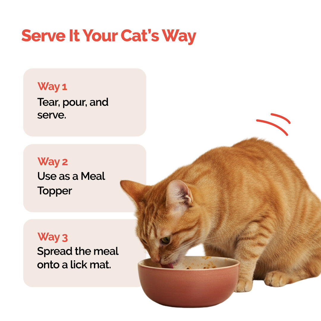 Goofy Tails Trial Packs Cat Meals – Himalayan Trout and Chicken & Mackerel