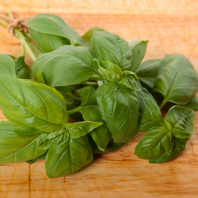 Basil