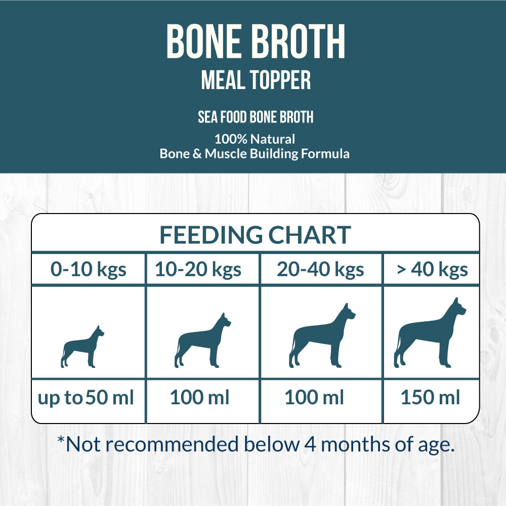 Broth for dogs