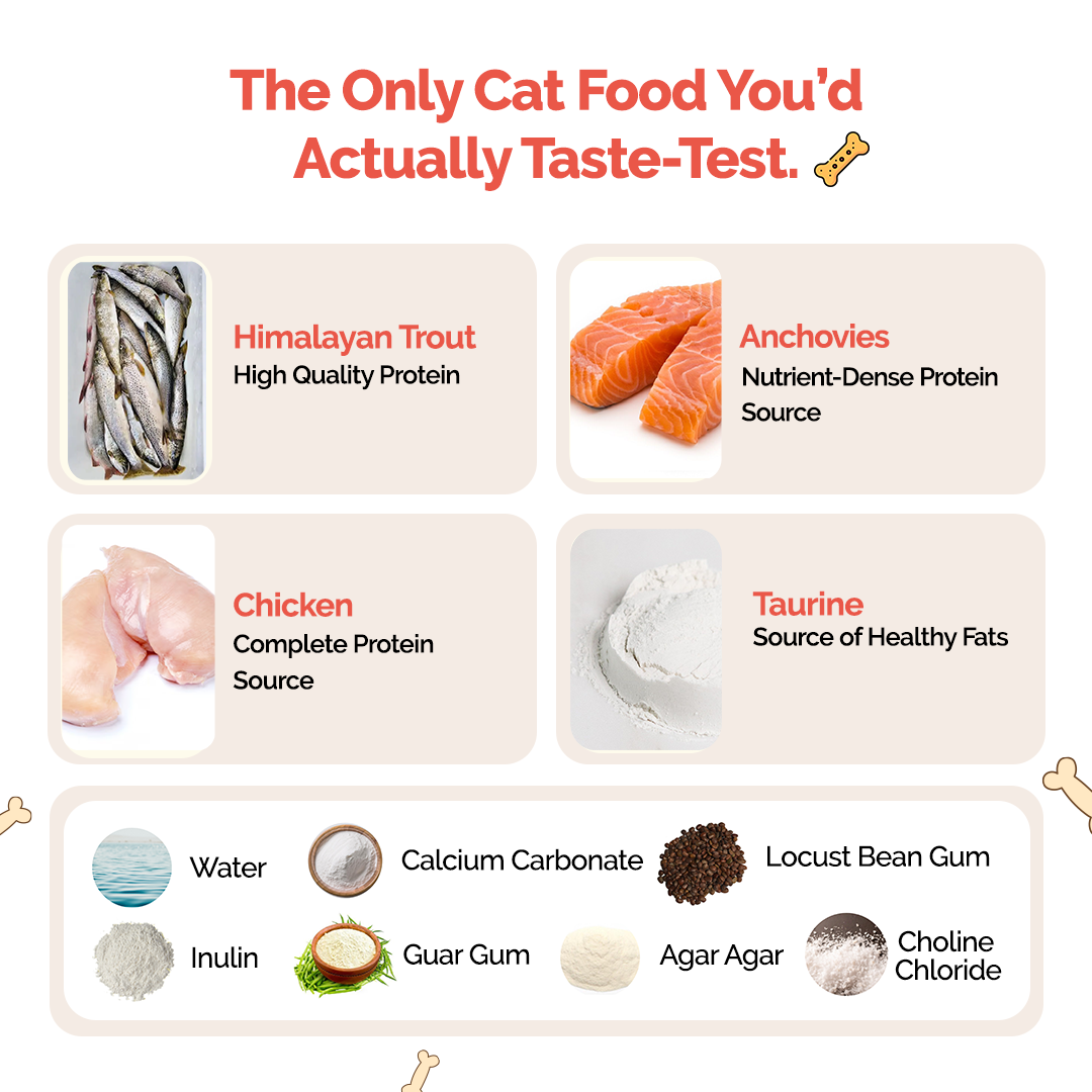 Goofy Tails Himalayan Trout Wet Cat and Kitten Food