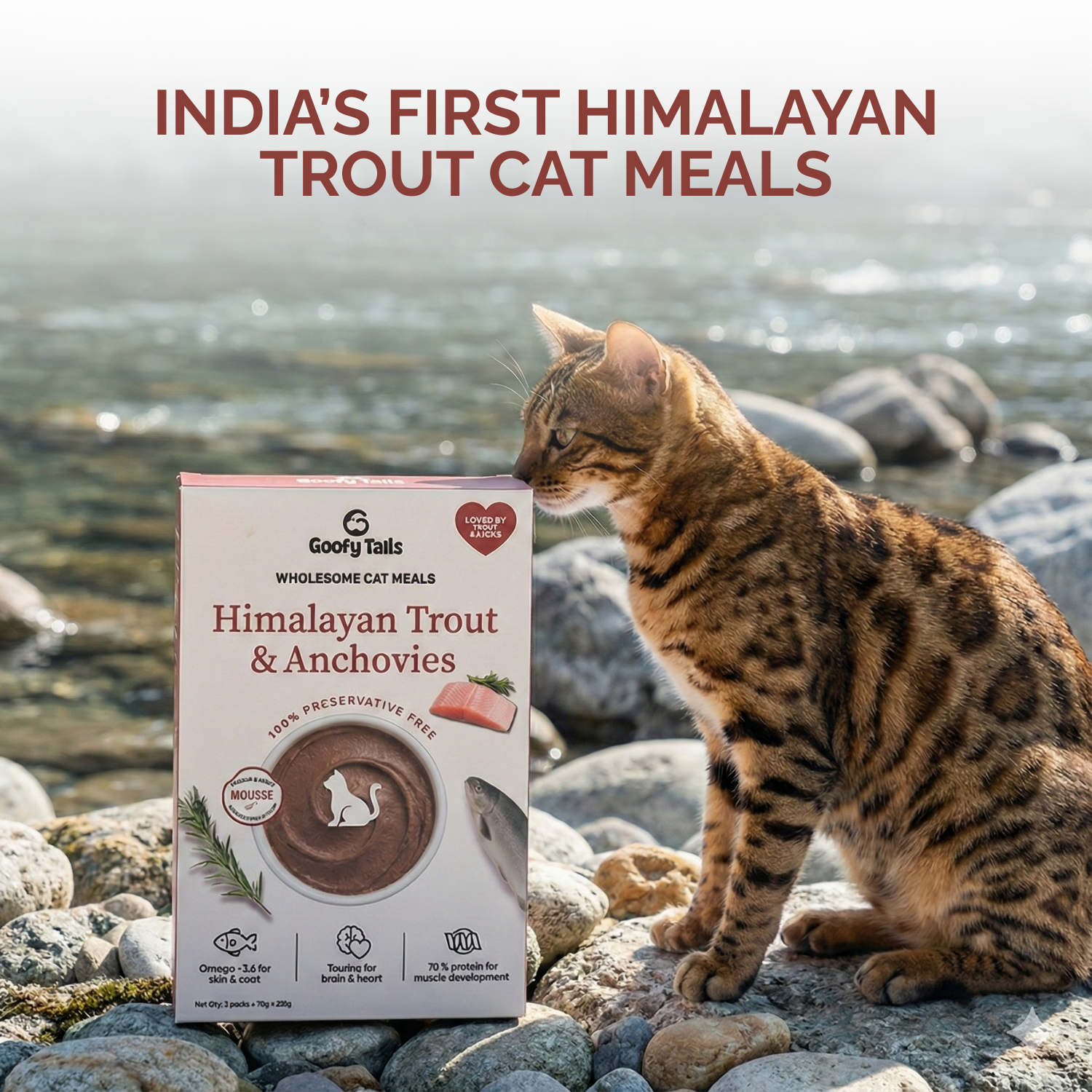 Goofy Tails Himalayan Trout Wet Cat and Kitten Food