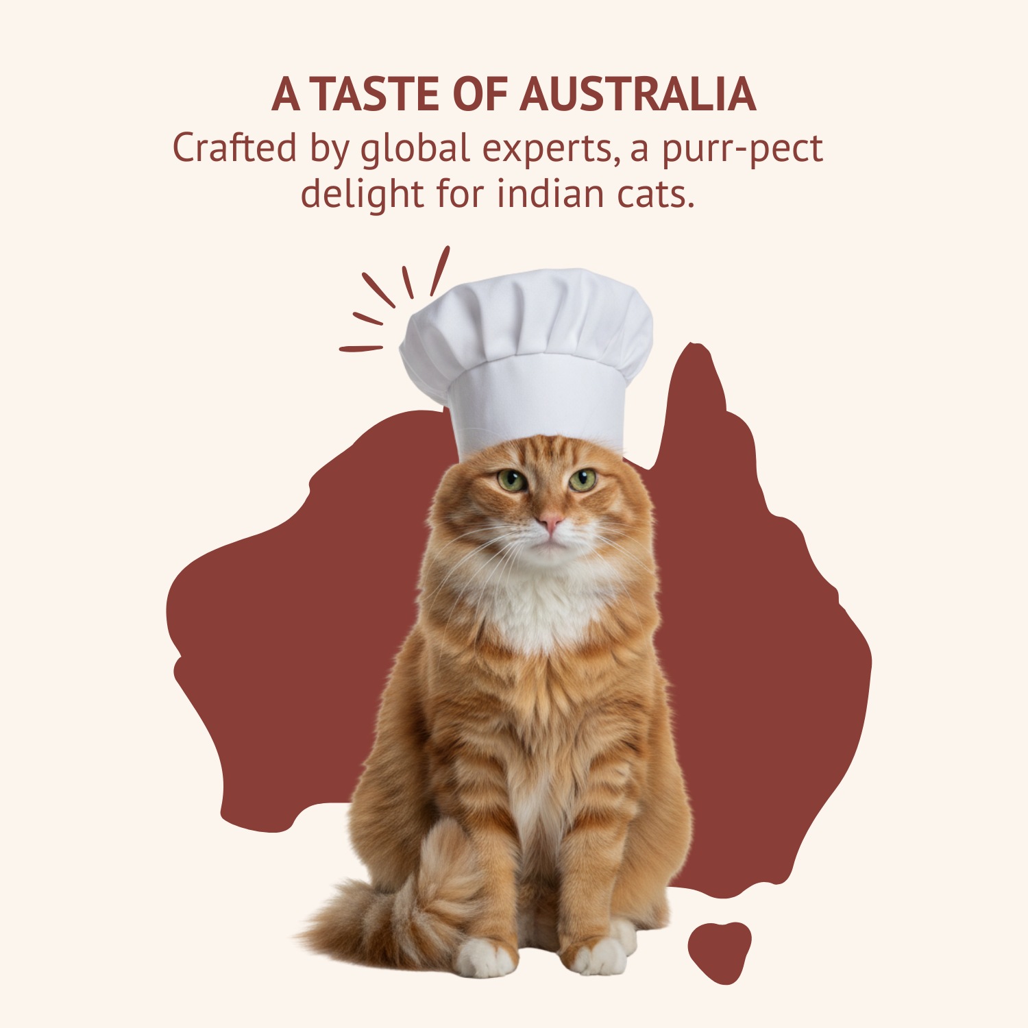 Goofy Tails Trial Packs Cat Meals – Himalayan Trout and Chicken & Mackerel