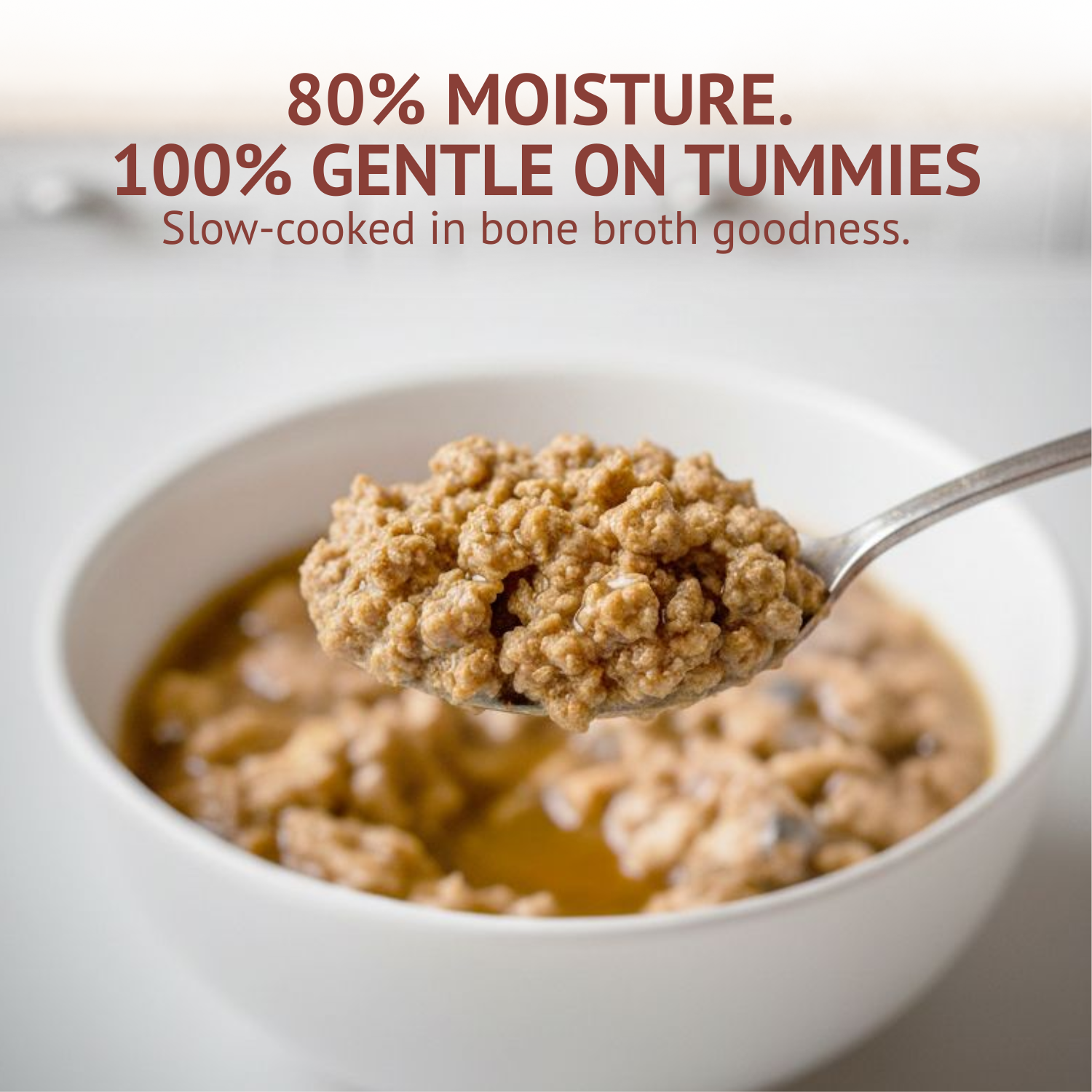 Goofy Tails Trial Packs Cat Meals – Himalayan Trout and Chicken & Mackerel