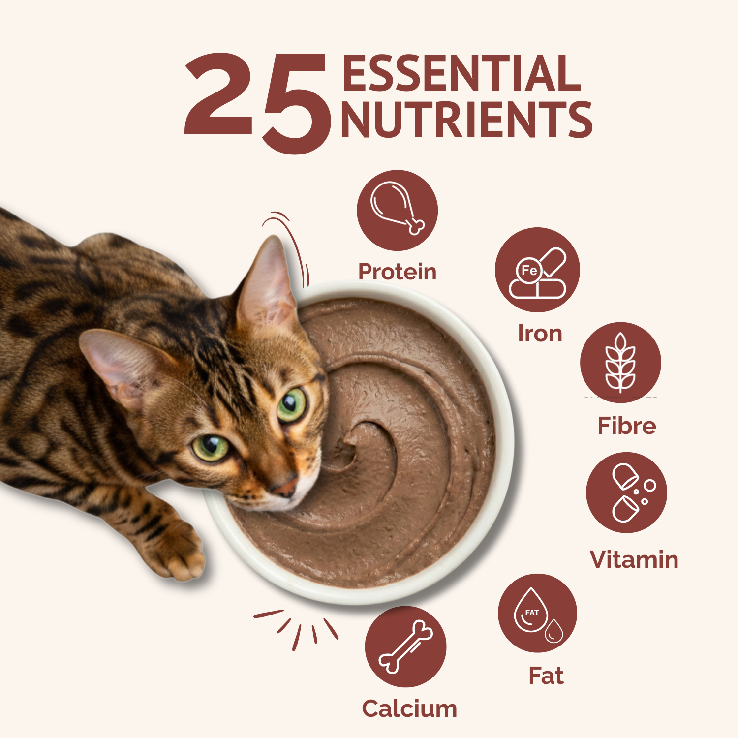 Goofy Tails Himalayan Trout Wet Cat and Kitten Food