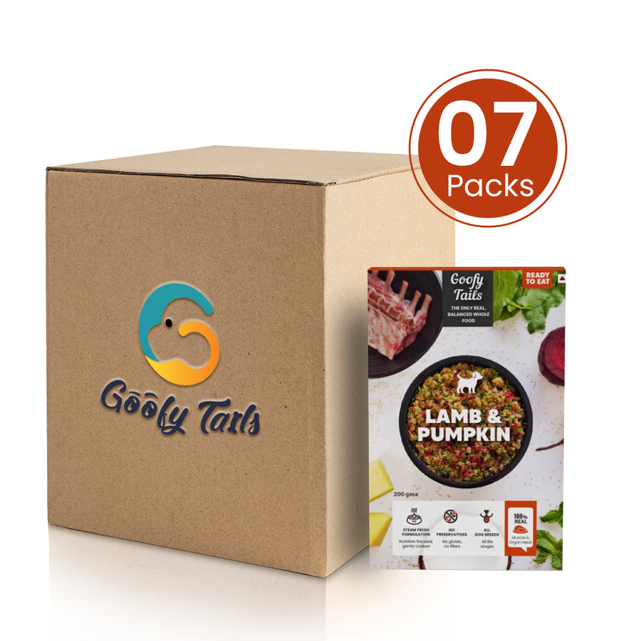 Buy Fresh Pumpkin and Lamb Dog Food For Dogs and Puppies 200g GoofyTails