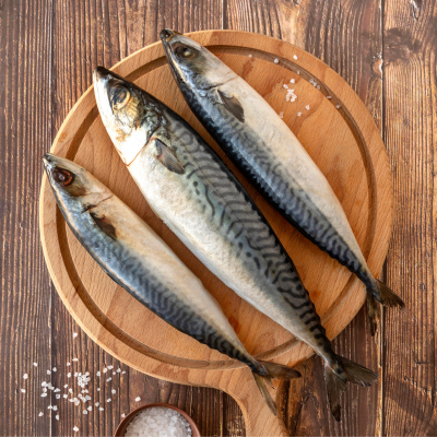 Atlantic Mackerel