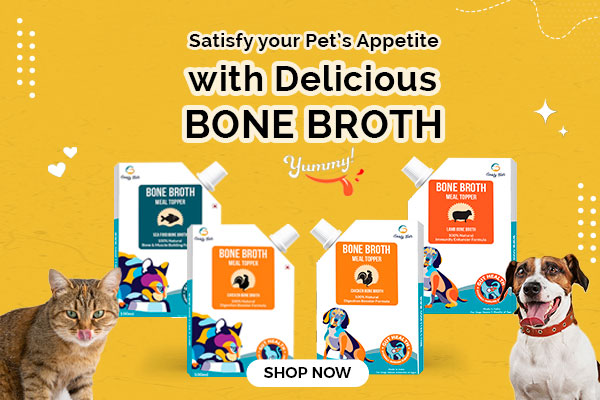 bone broth for dogs and cats
