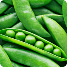Peas